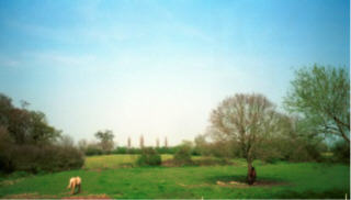 Holiday Cottage Norfolk UK; Farm Stay Pets Welcome